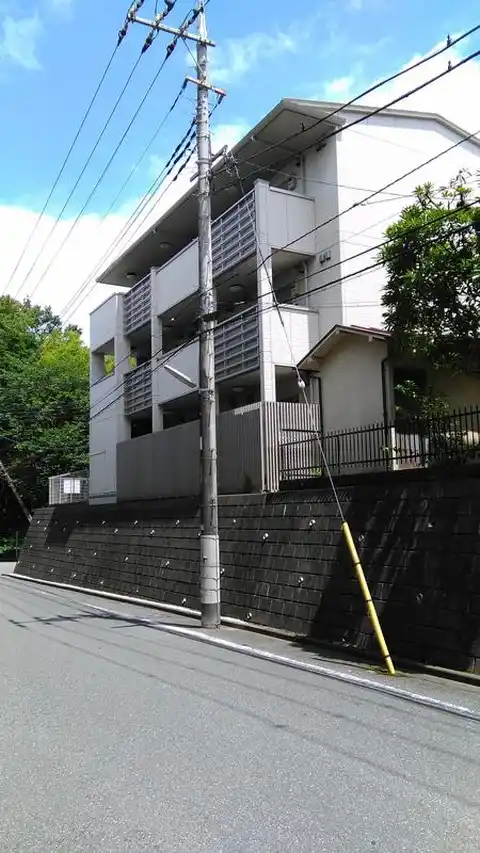 サンオリーブ