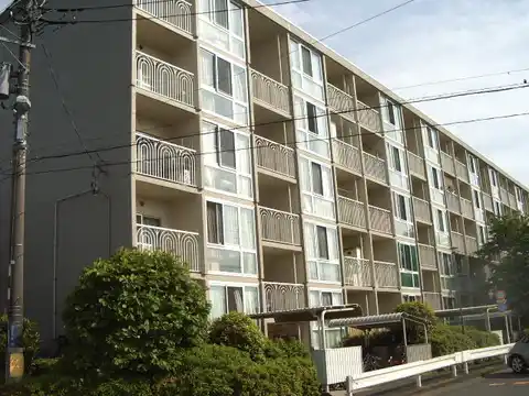 茅ヶ崎ニューライフ