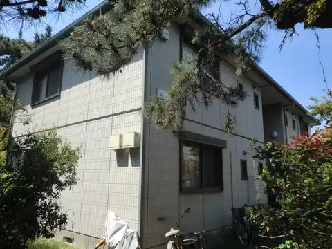 松の木A
