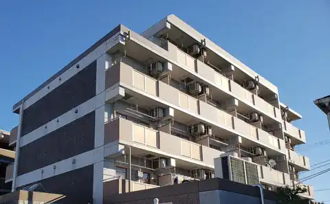 フラットリブ