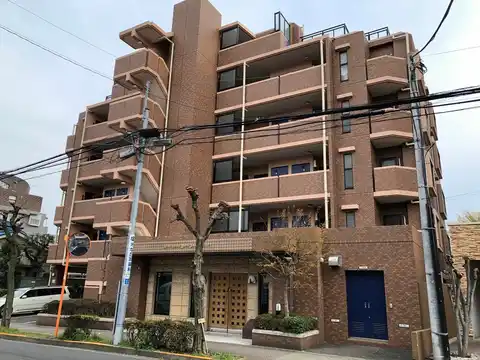 光が丘公園サニーコート