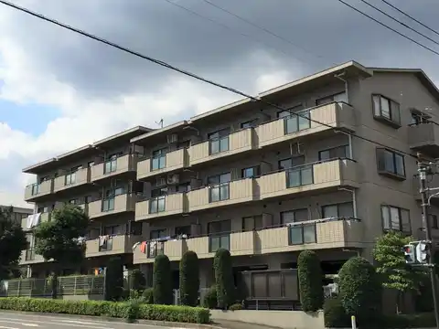 メゾンピュール