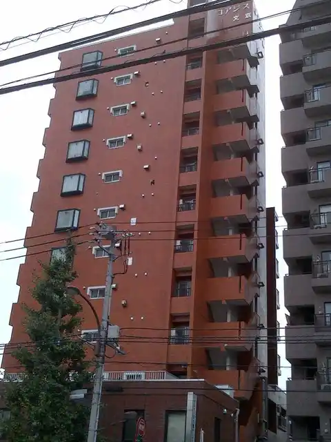 ロアジス文京