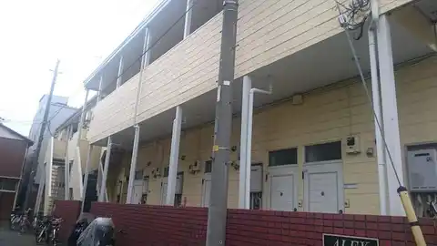 アレックス桂・楓