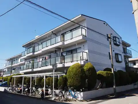 グリーンシャイン芝
