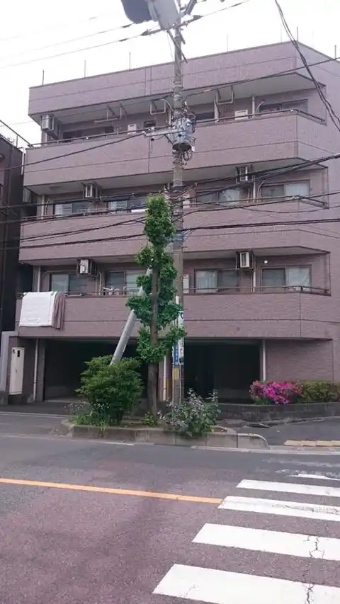 ルクソール・N