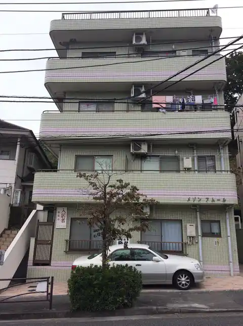 メゾンアムール