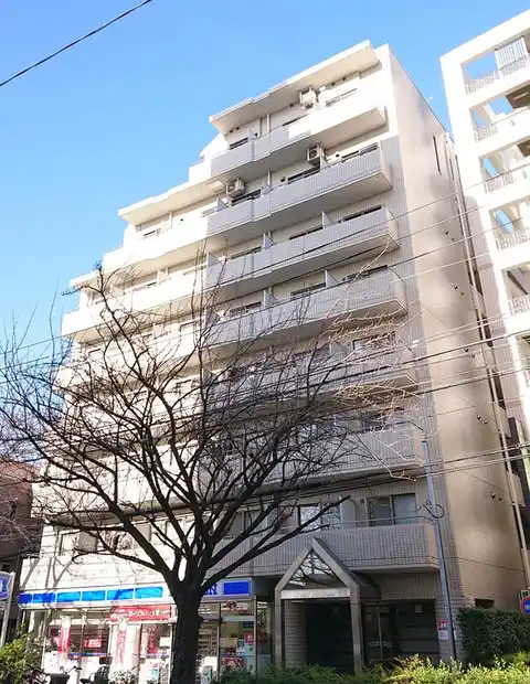 ドエルピュアネス