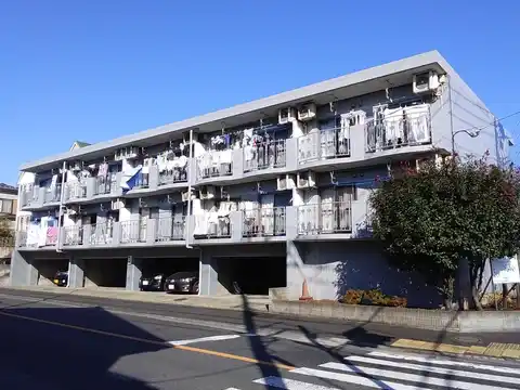 ウィングコスミック
