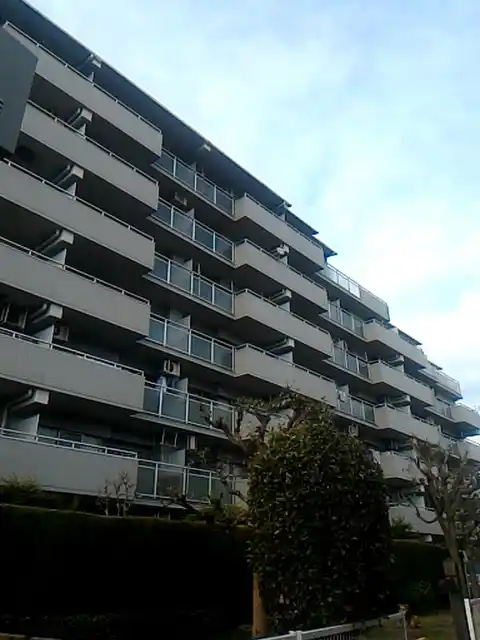 コスモ大宮大成