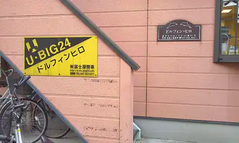 ドルフィンヒロ