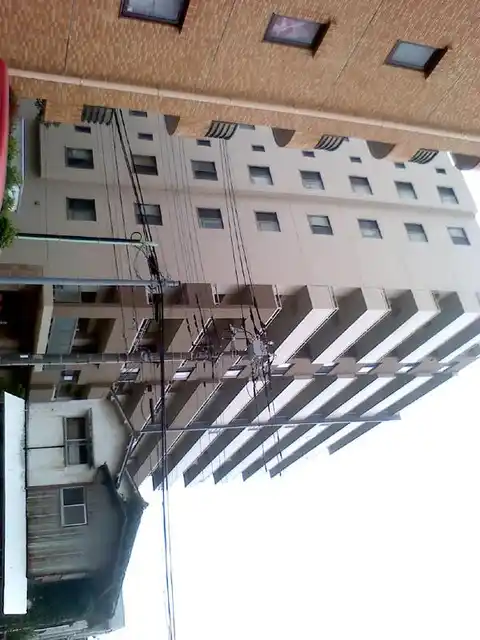 サンアリーナ相模原 西門桜通り