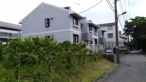 メゾン柏 A
