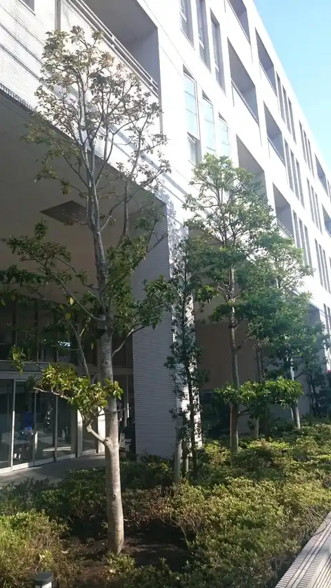 鎌倉御成町マスターズハウス