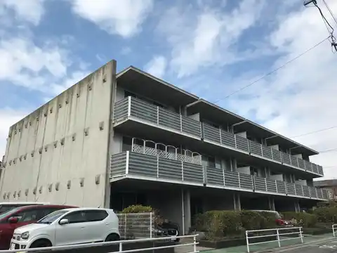 アンス・フォー・ダイス