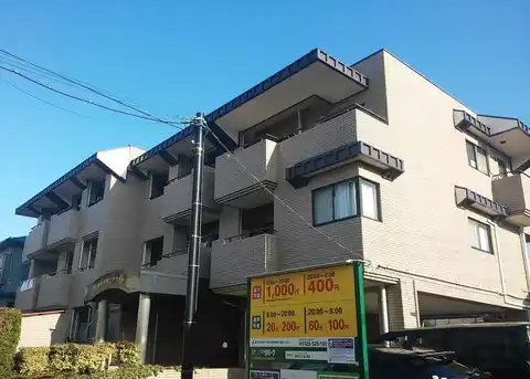 アフロヴィーナ