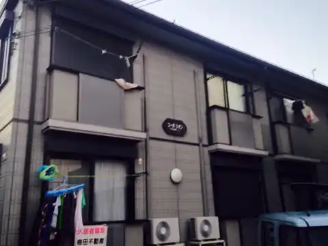 コーポシオン