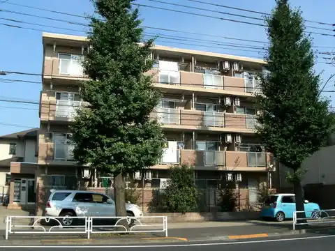 ステラタウン