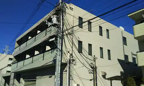 日本BLD