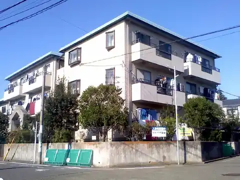 ドエルカメリア