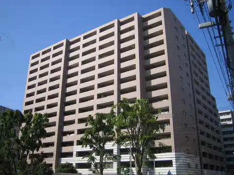 アデニウム新横浜