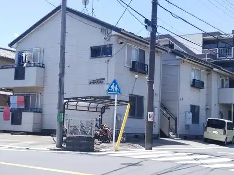 ゴールドクレスト