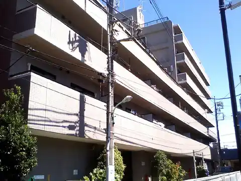 アムール森野