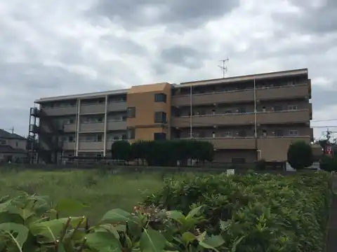 YSコア