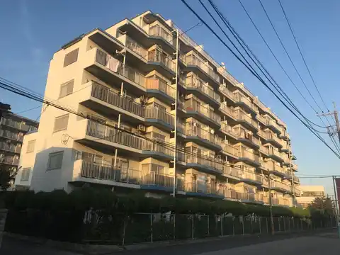 エバーグリーン川口