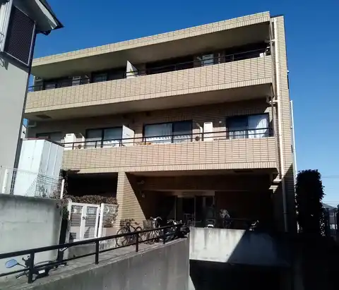 コージール桜