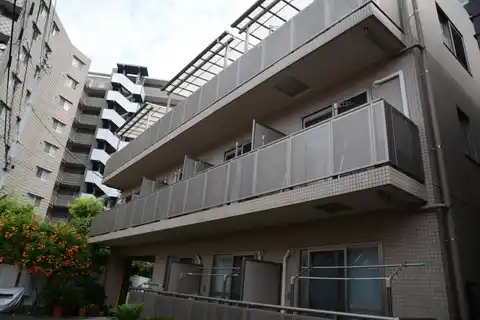 コンフォートM