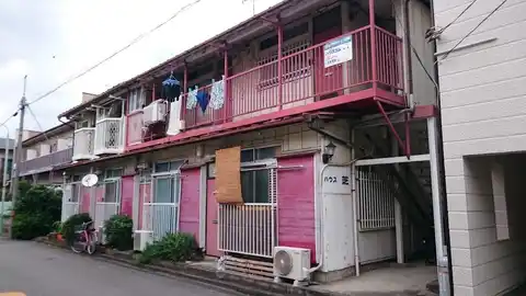 ハウス芝