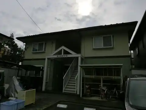サンルピナス