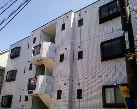 パルシモンズ