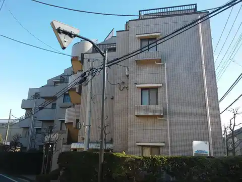 シャトレ・メイプル