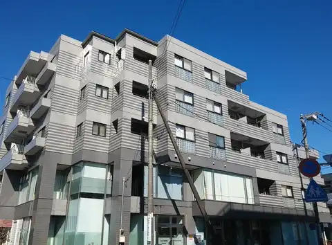 ハスミドミトリー