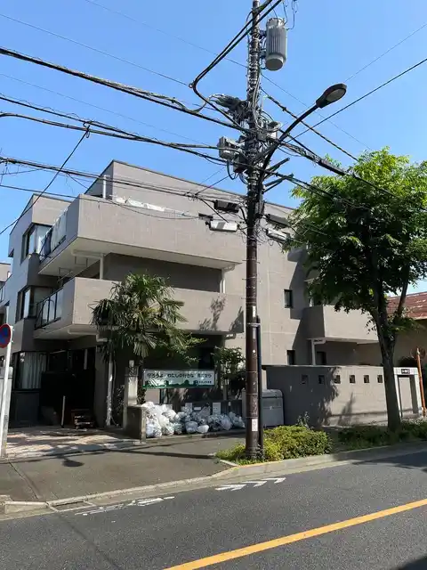 コーカスS