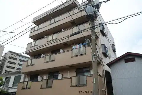 エコーワイエス