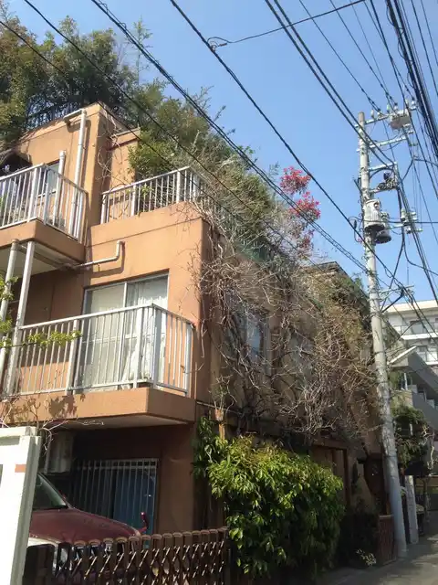 ハット・ミリュウ