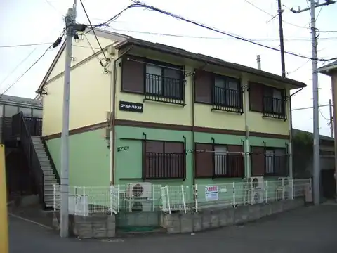 ゴールドクレスト