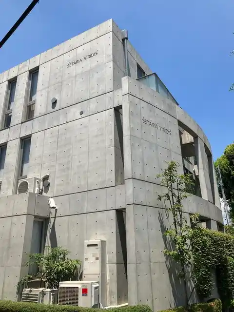 セタリアヴィリディス