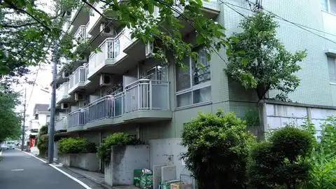 コモドアパルタ