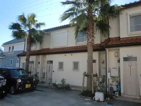 パームツリー