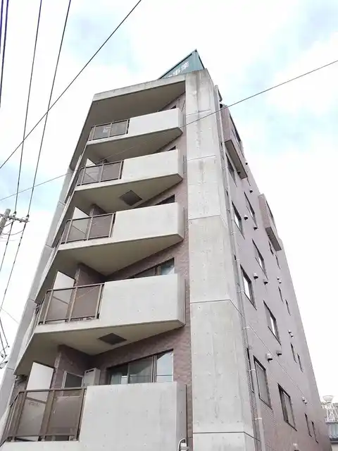 ニューセンシブル