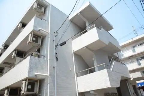 ホワイトプラナス