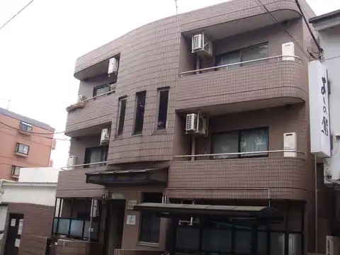 サンフレッチェ武蔵野