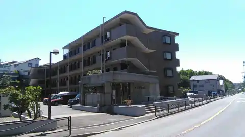 フレア日光