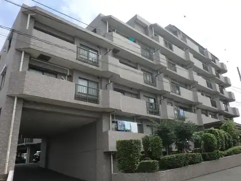 シーダム藤沢善行