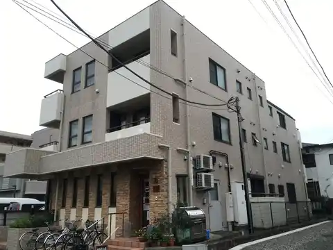 ステラホークス