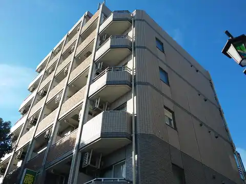 ドミ・プレミール